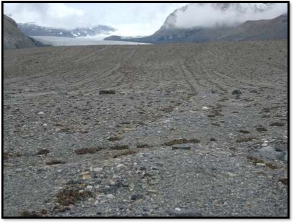 Glacial Landforms Erosional And Depositional Academistan   Glacial Till Plain 